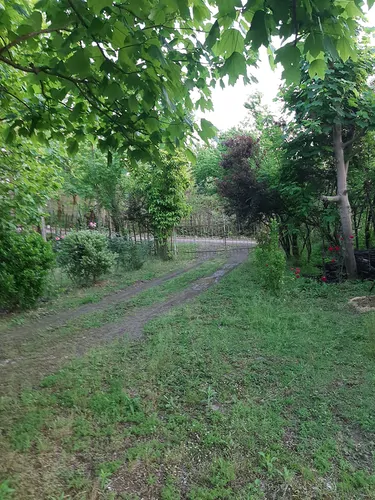تصویر 18 - ویلا سرای بهشت در رشت