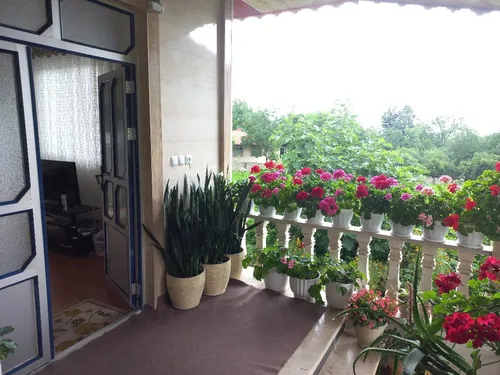 تصویر 10 - ویلا جنگلی موسوی  در  ماسال