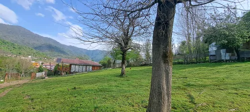 تصویر 22 - کلبه چوبی سعدی در  ماسال