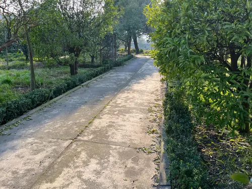 تصویر 10 - ویلا مارینا پارک  در  شهسوار
