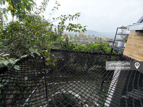 تصویر 4 - ویلا ماه دل در سوادکوه