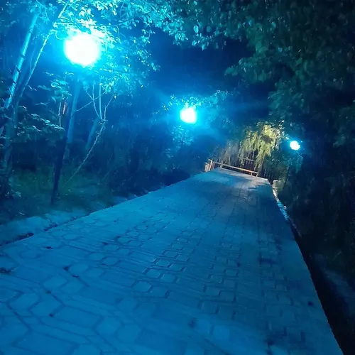 تصویر 4 - ویلا ضیائی  در باغ بهادران