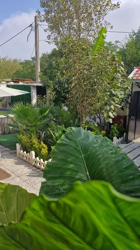 تصویر 55 - ویلا گل مرداب با جکوزی سنگی  در  انزلی