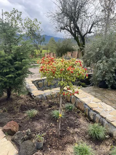 تصویر 9 - اقامتگاه بوم‌گردی الماس سبز (واحد1) در  قلعه‌رودخان 