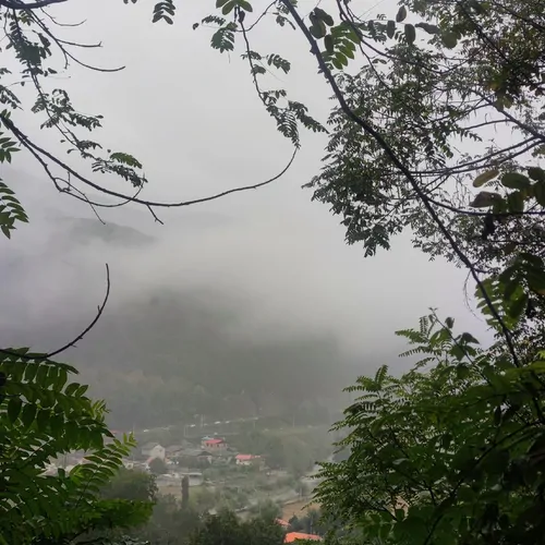 تصویر 13 - کلبه چوبی مهرورزان در  سوادکوه