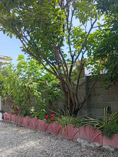 تصویر 13 - ویلا طالقانی (۴) در  رامسر