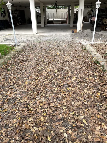 تصویر 22 - ویلا فیکا در  شهسوار