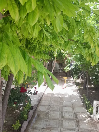 تصویر 4 - ویلا باغچه استخردار در کردان