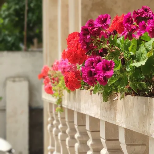 تصویر 5 - ویلا میثاق در  انزلی