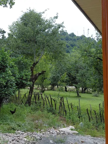تصویر 12 - کلبه چوبی نارنج در  ماسال