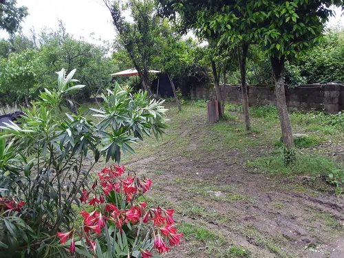تصویر 4 - ویلا خونه باغ ترنج و بلوچ در ماسال