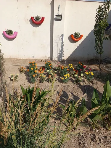 تصویر 13 - ویلا استخردار آبسرد آوا در  چهارباغ