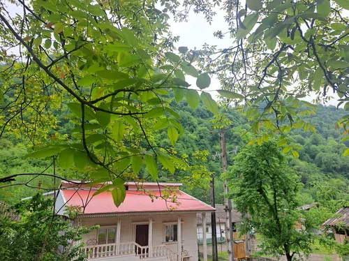 تصویر 5 - ویلا ویلای جنگلی مهتاب در اسالم