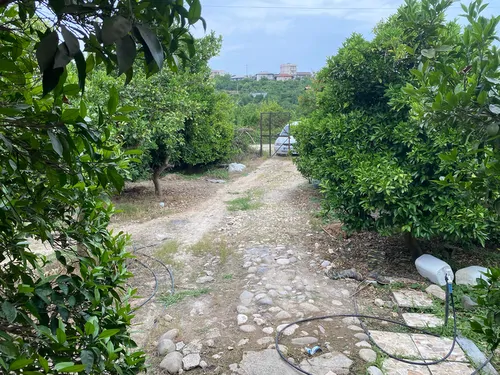 تصویر 2 - کلبه arman در قائمشهر