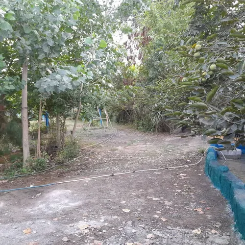 تصویر 4 - سوییت باغ رضوان در فومن