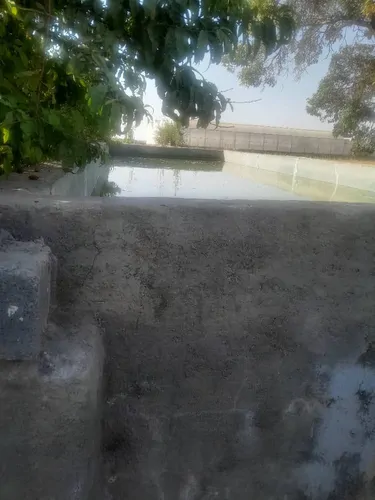 تصویر 2 - ویلا کلبه صفا در هشتگرد