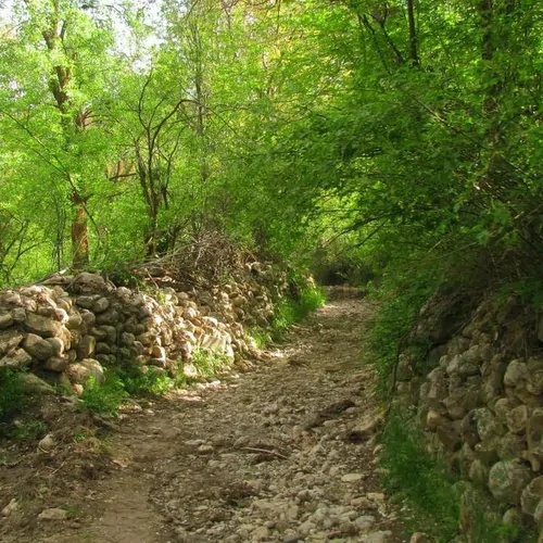 تصویر 9 - اقامتگاه بوم‌گردی سهرورد (واحد۳) در  خدابنده
