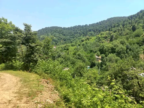 تصویر 18 - ویلا نجار آغوش جنگل و رود در  شفت
