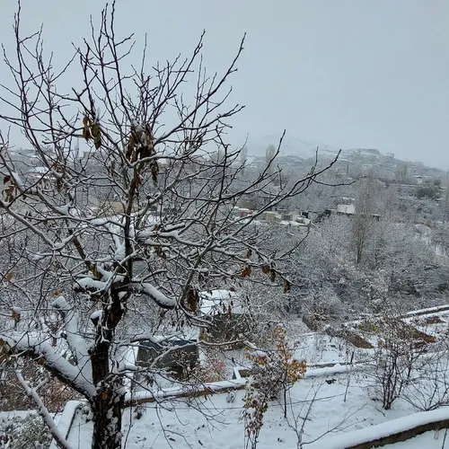 تصویر 2 - ویلا باغ بهشت در کردان