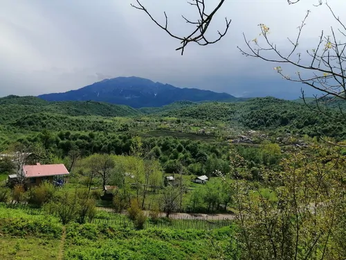 تصویر 10 - خانه مبله گیلدا حلیمه جان در  رودبار