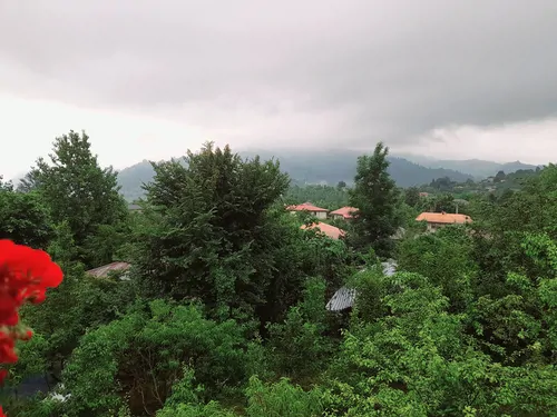 تصویر 13 - کلبه جنگلی آراد در ماسال