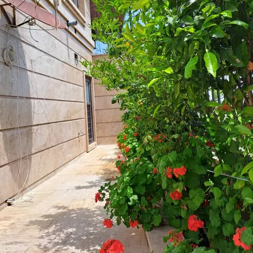 تصویر 24 - ویلا دوبلکس شیک و اختصاصی  در  بابلسر