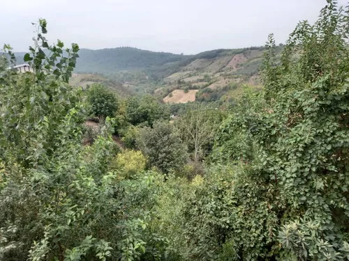 تصویر 4 - ویلا چشم‌انداز در گلوگاه