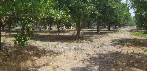 تصویر 16 - ویلا استخردار آبگرم چشم انداز باغ (۳) در  قائمشهر