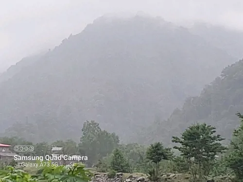 تصویر 16 - ویلا جنگلی مقدم کنار رودخانه در اسالم