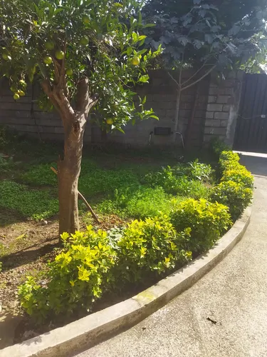 تصویر 14 - ویلا علیزاده در نزدیکی تلکابین در چابکسر