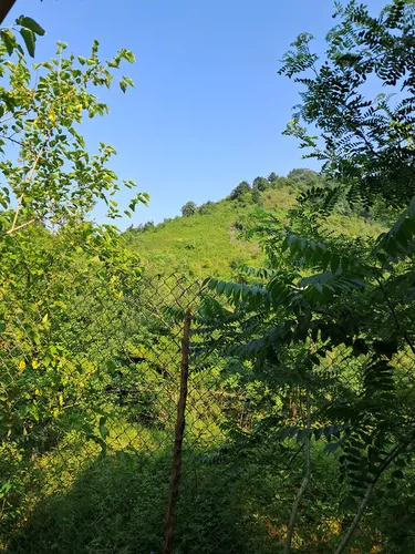 تصویر 20 - کلبه سوئیسی شریف در  کتالم