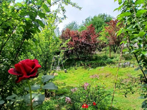 تصویر 15 - ویلا بام سبز در ماسال