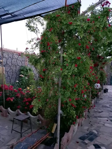 تصویر 25 - ویلا استخردار آبگرم بهارستان کبوتر آباد در  اصفهان