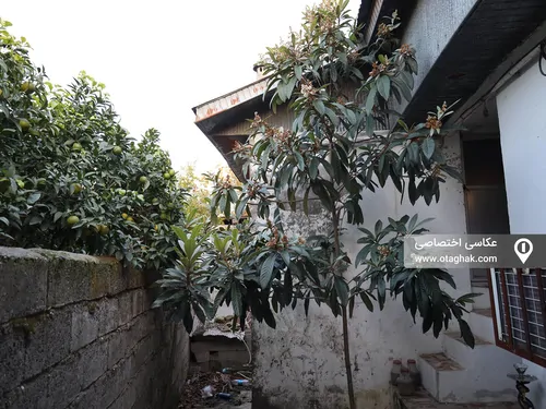 تصویر 4 - خانه ویلایی مهرداد(واحد 1) در  محمودآباد