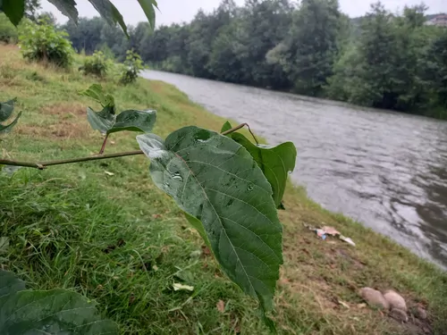 تصویر 18 - خانه روستایی طبیعت در  سوادکوه