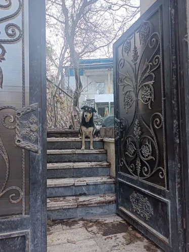 تصویر 11 - خانه فرخنده در  جاده چالوس