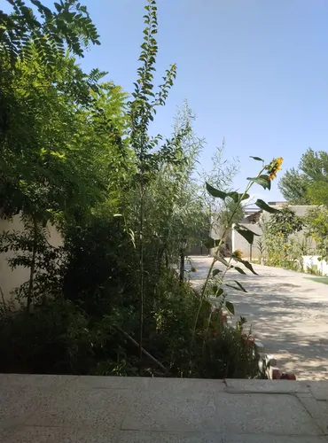 تصویر 2 - ویلا ویلا سنتی در سهیلیه