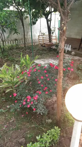تصویر 2 - ویلا رنجبر در محمودآباد