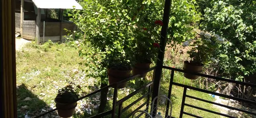 تصویر 17 - ویلا جنگلی شالما در  ماسال