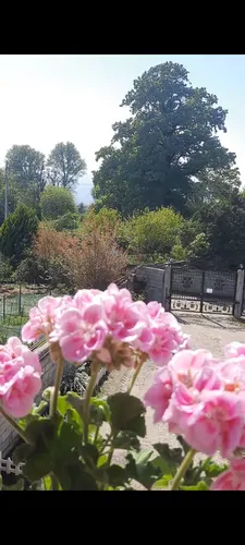 تصویر 12 - ویلا کاسپین نزدیک دریا در  پره‌سر