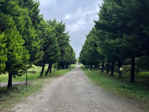 تصویر 14 - ویلا آویشار (واحد سعدی) با صبحانه رایگان در اسالم