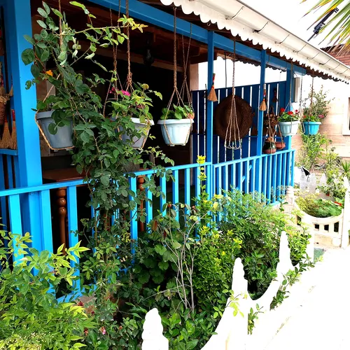 تصویر 9 - سوییت سوئیت چیکا (راش) در  رشت