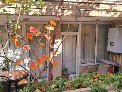 تصویر 13 - آپارتمان مبله نیکنام  در  اصفهان