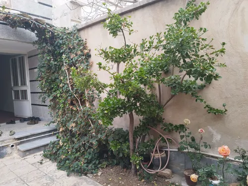 تصویر 14 - خانه طالقانی (39) در ساوه