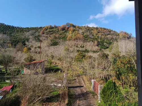 تصویر 17 - ویلا جنگلی سبز در  املش