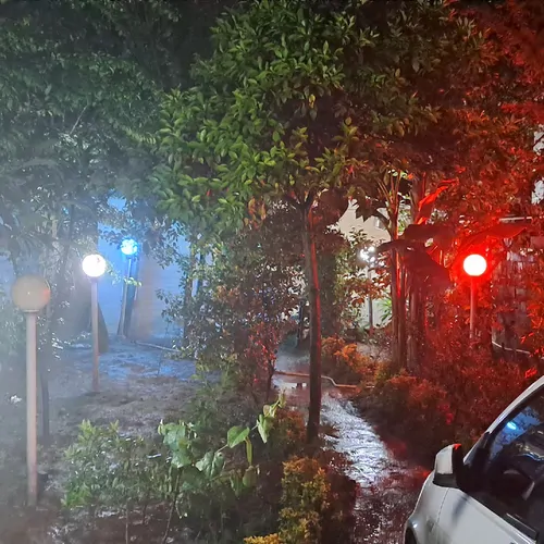 تصویر 4 - ویلا بنر سنجاب کوچولو در بابل