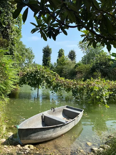 تصویر 8 - ویلا جنگلی کنار رودخانه باغ پردیس در  رامسر