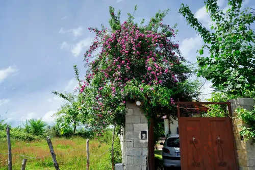 تصویر 10 - ویلا  اشکانیان در  فومن