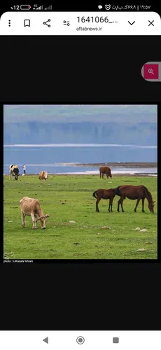 تصویر 25 - ویلا جنگلی آرامش  در  شیرگاه