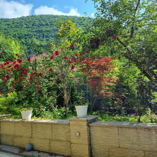 تصویر 36 - ویلا جنگلی بام شهر در  کلاردشت